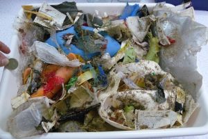 An einem Strand in England sammelte Sonja Oberbeckmann mit ihren Kolleginnen und Kollegen diese Kunststoffteile auf. Wenn Plastik überhaupt abgebaut wird, dann nur sehr langsam. Stattdessen wird es von Wellen und der UV-Strahlung immer weiter zerkleinert, bis es mit bloßem Auge kaum noch zu erkennen ist. Sind die Plastikpartikel irgendwann kleiner als fünf Millimeter werden sie Mikroplastik genannt.